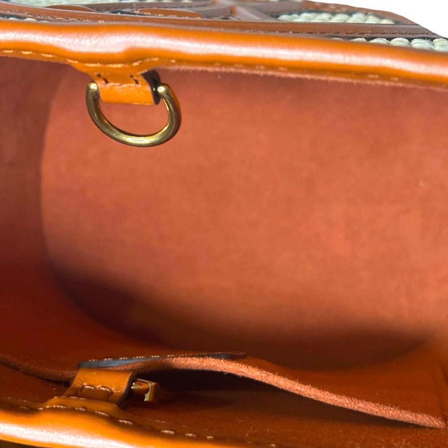 Louis Vuitton Petit Raffia bucket in Brown