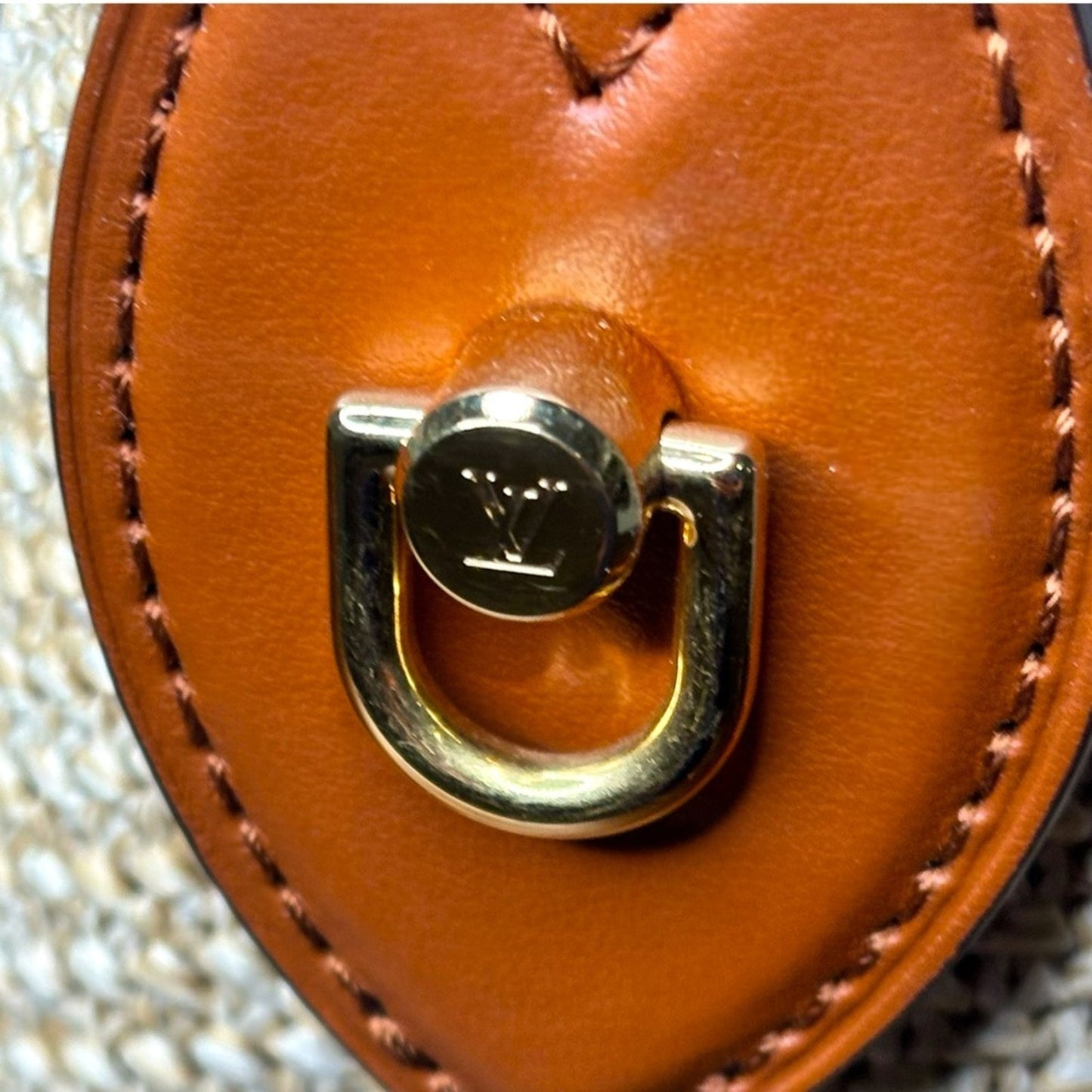 Louis Vuitton Petit Raffia bucket in Brown