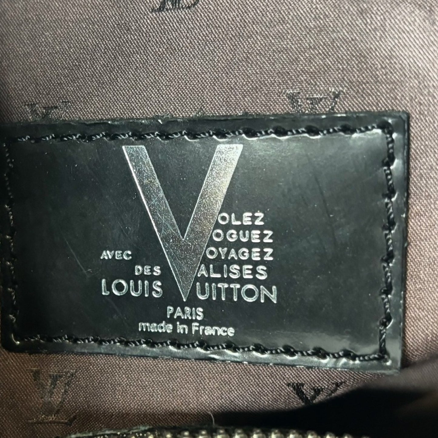 Louis Vuitton Whistler Tote Bag M95247 (pony hair)