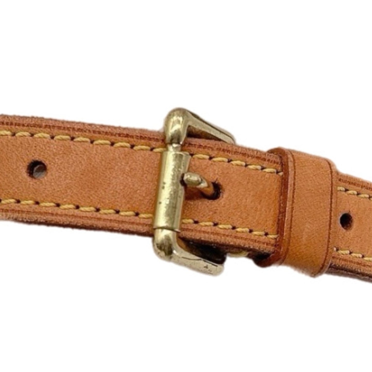Louis Vuitton Salsa PM with Short Strap